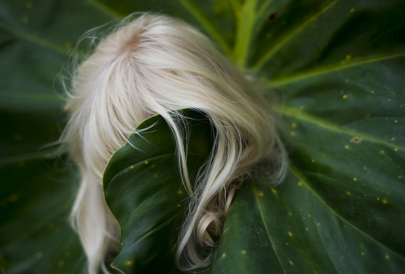Kanelbølger og Fotografiske Skulpturer