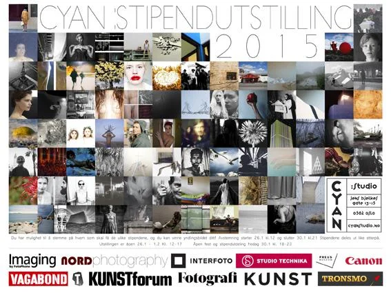 CYAN stipendutstilling 2015