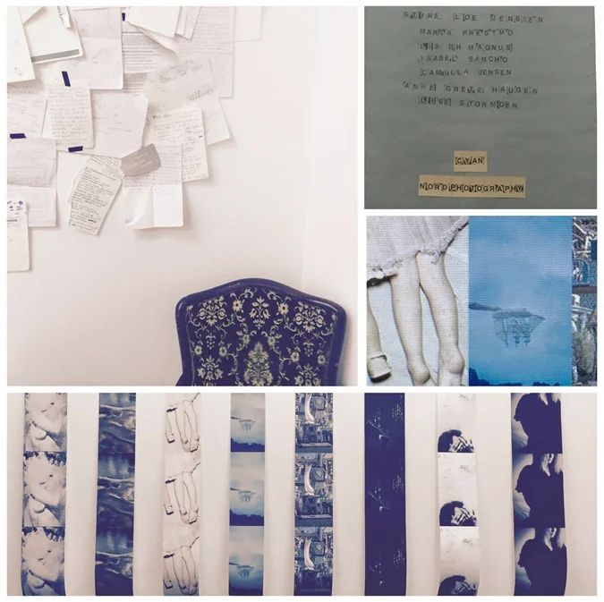 NORDphotography mentorutstilling :This is awesome