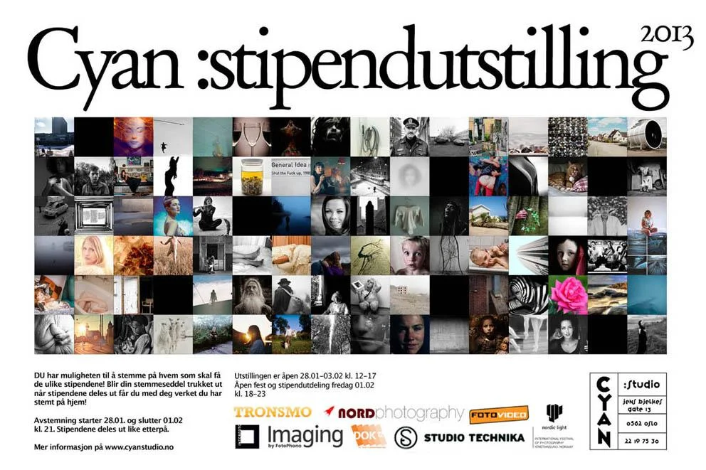 Cyan :stipendutstilling 2013