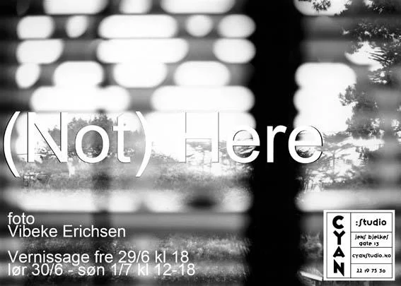 Vibeke Erichsen: (Not) Here