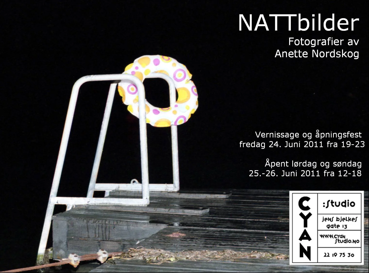 Anette Nordskog: NATTbilder