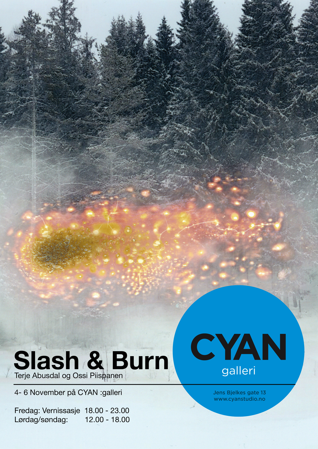 slash and burn poster.jpg