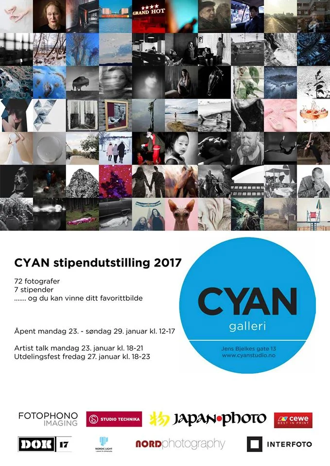 CYAN stipendutstilling 2017
