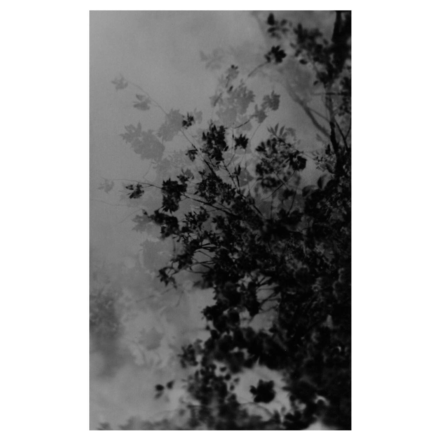 Tittel: Untitled - Poetics of Flux 