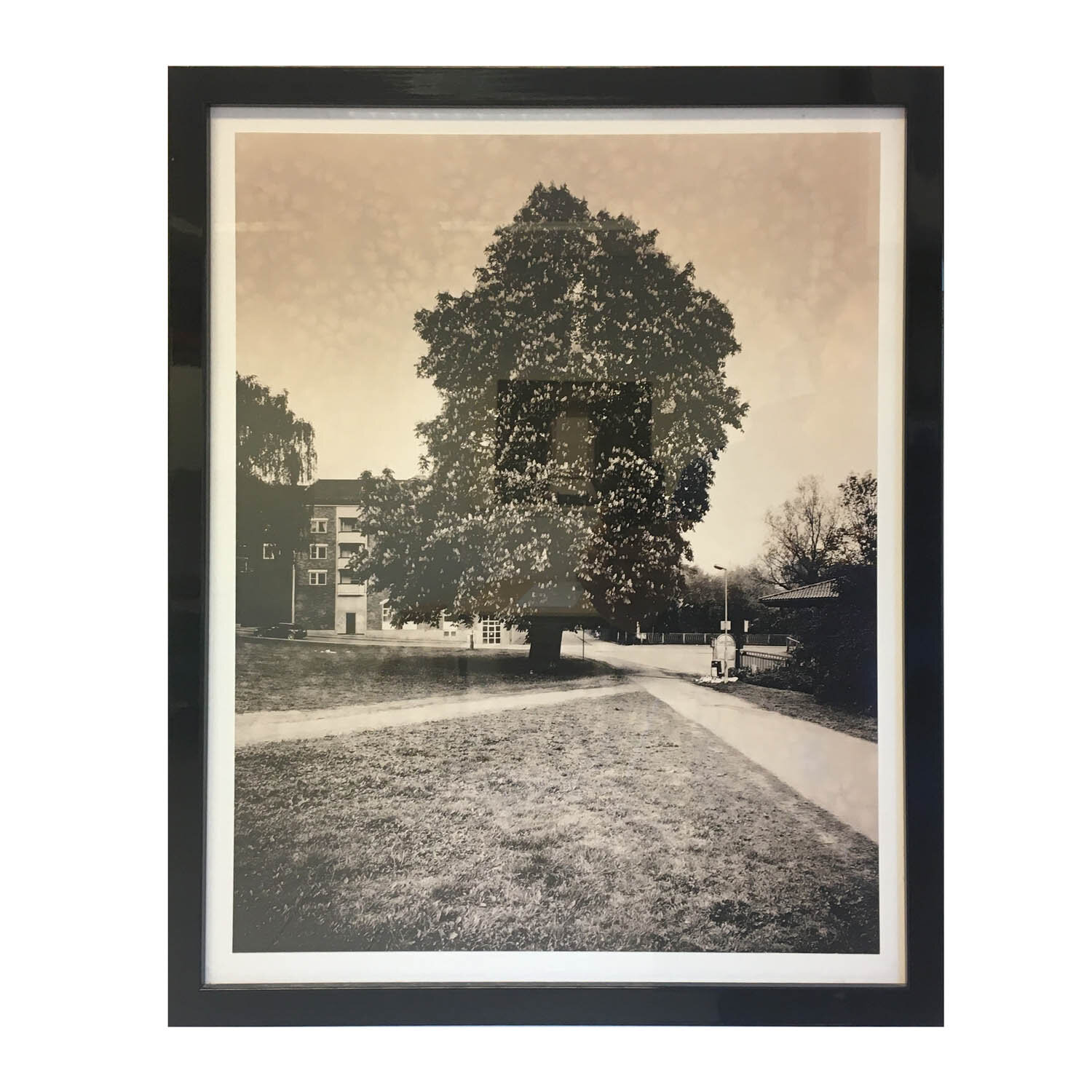 Kastanje, Nedre gate - stor