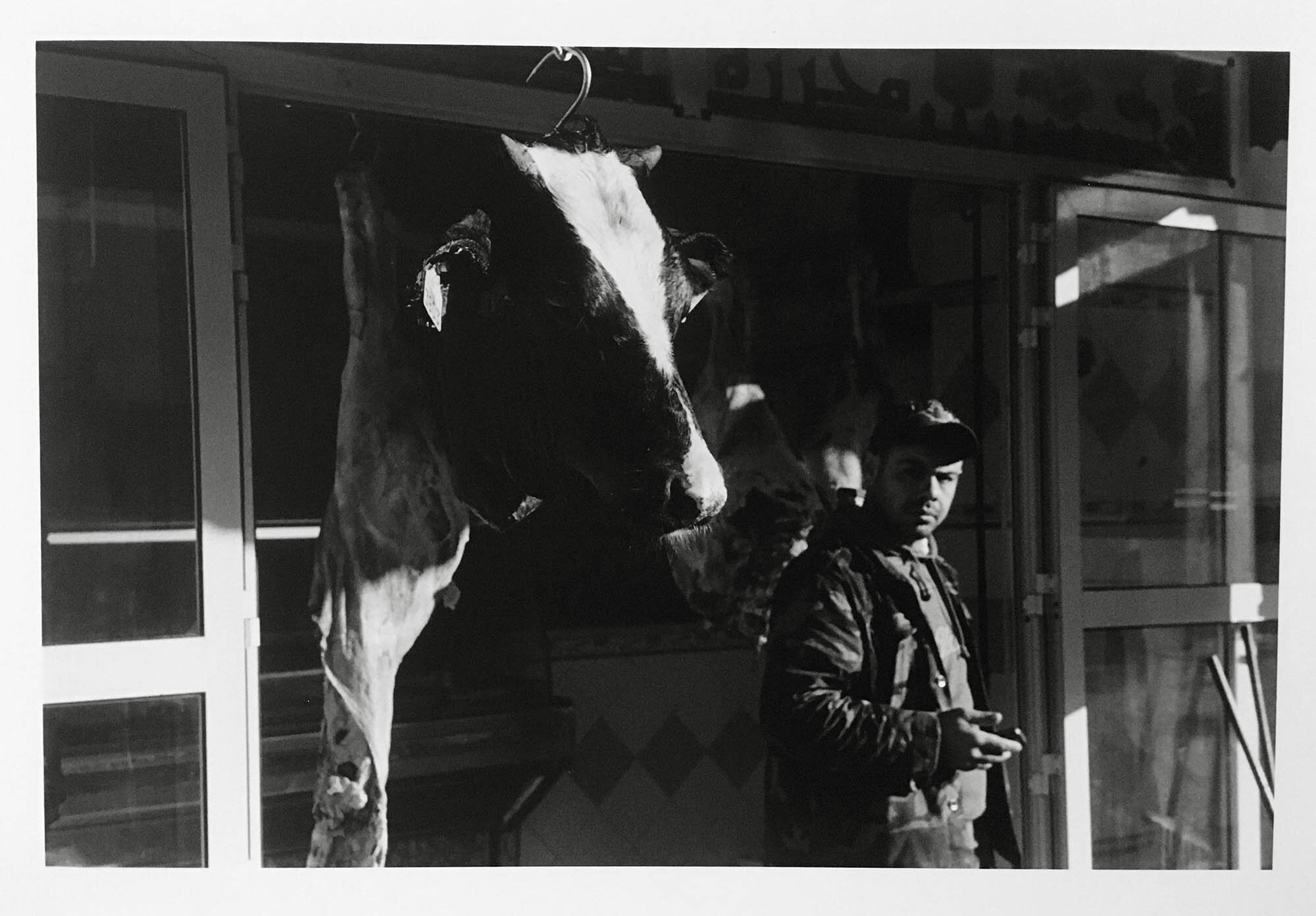 Slakter, Nabeul 2017