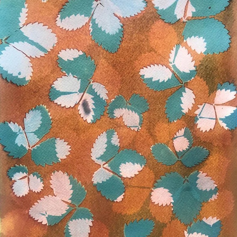 Nye kurs i bærekraftige fotoprosesser på CYAN mørkerom 