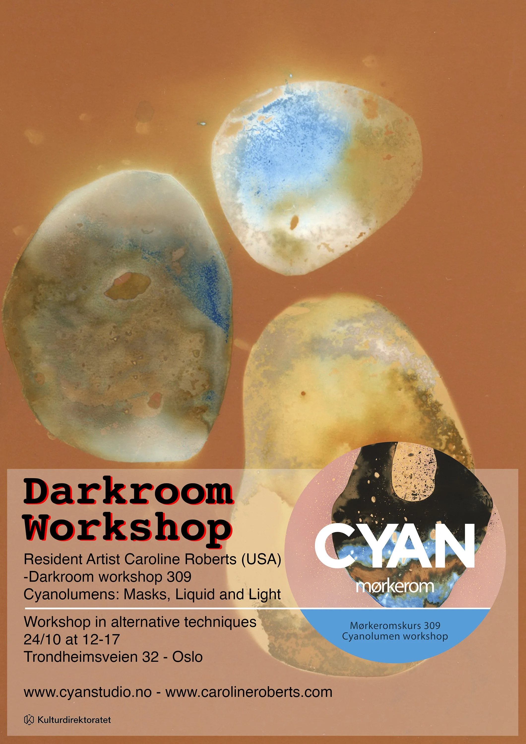 CYAN studio invites artist Caroline Roberts from the USA as artist in residence
