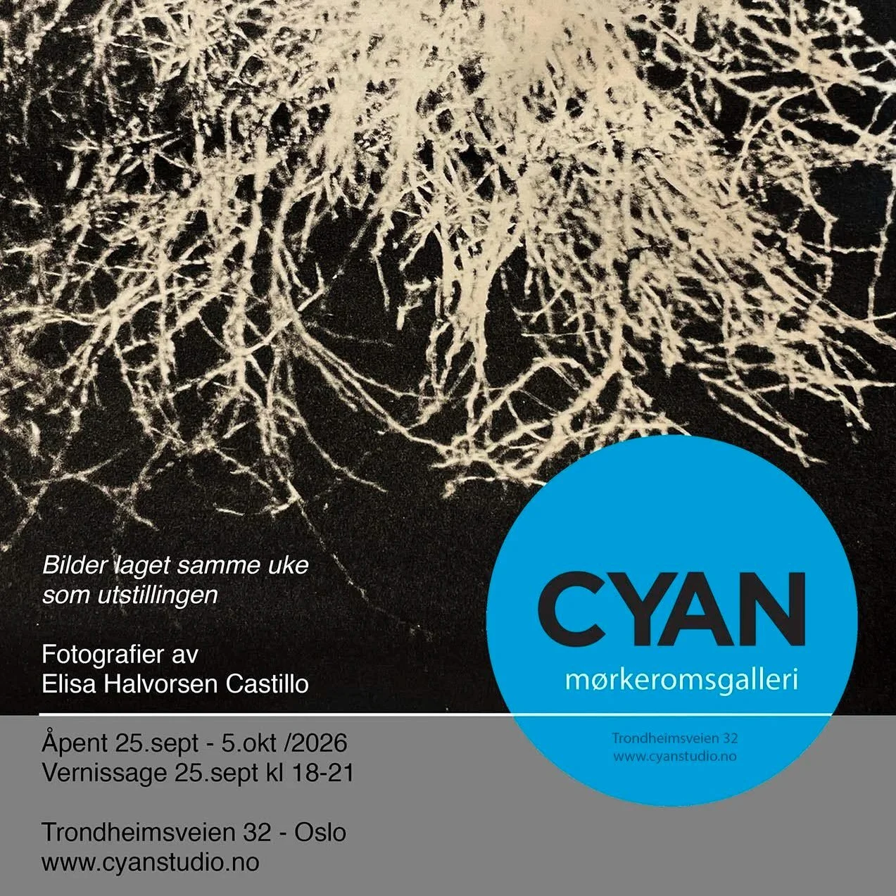 I september viser vi CYAN m&oslash;rkeromsgalleri bilder av Elisa Halvorsen Castillo.
Utstillingen viser helt nye fotografier laget i m&oslash;rkerommet samme uke som utstillingen &aring;pner. 
&Aring;pent 25.sept - 5.okt, n&aring;r som helst n&aring
