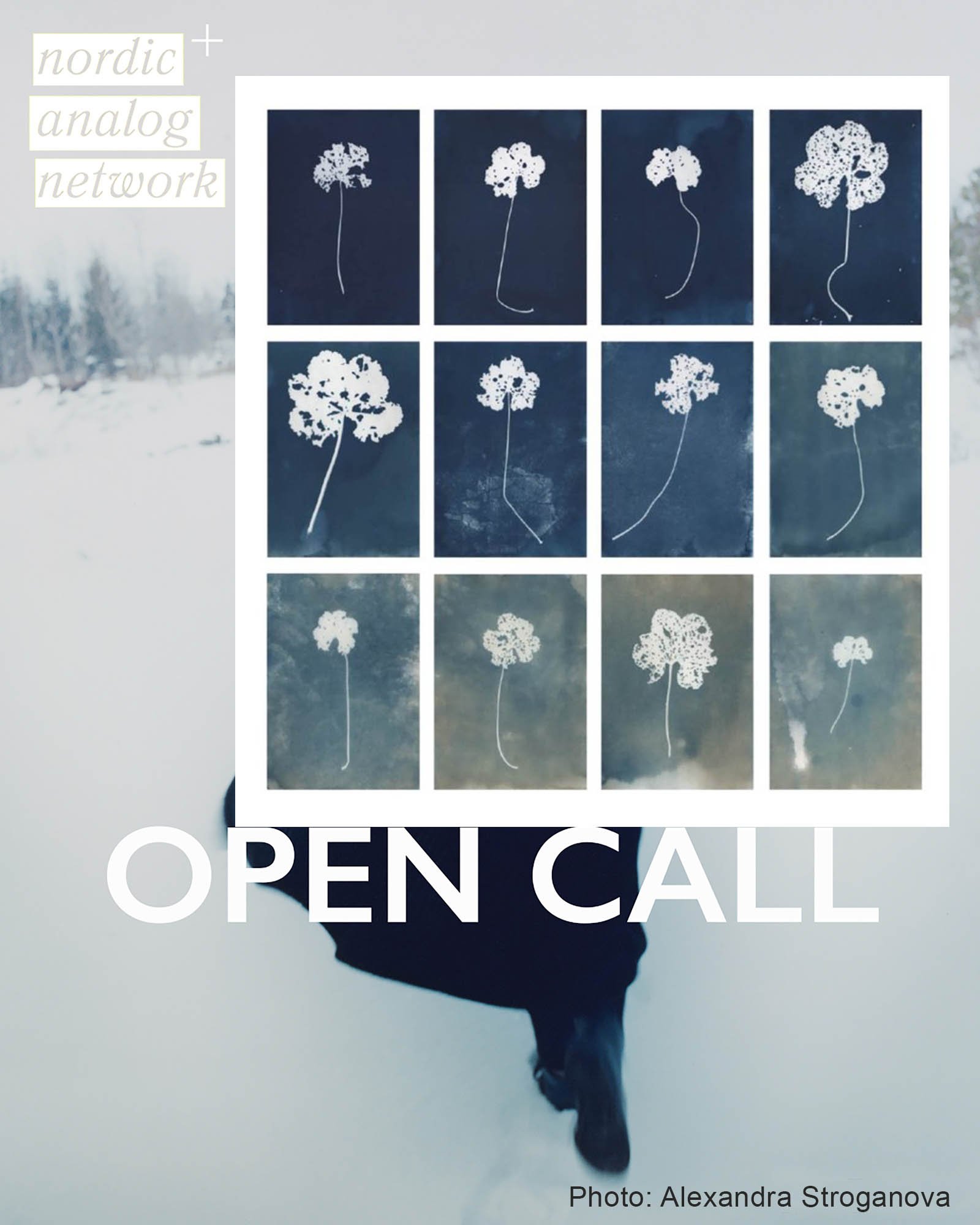 open call 2027_Instagram-6.jpg