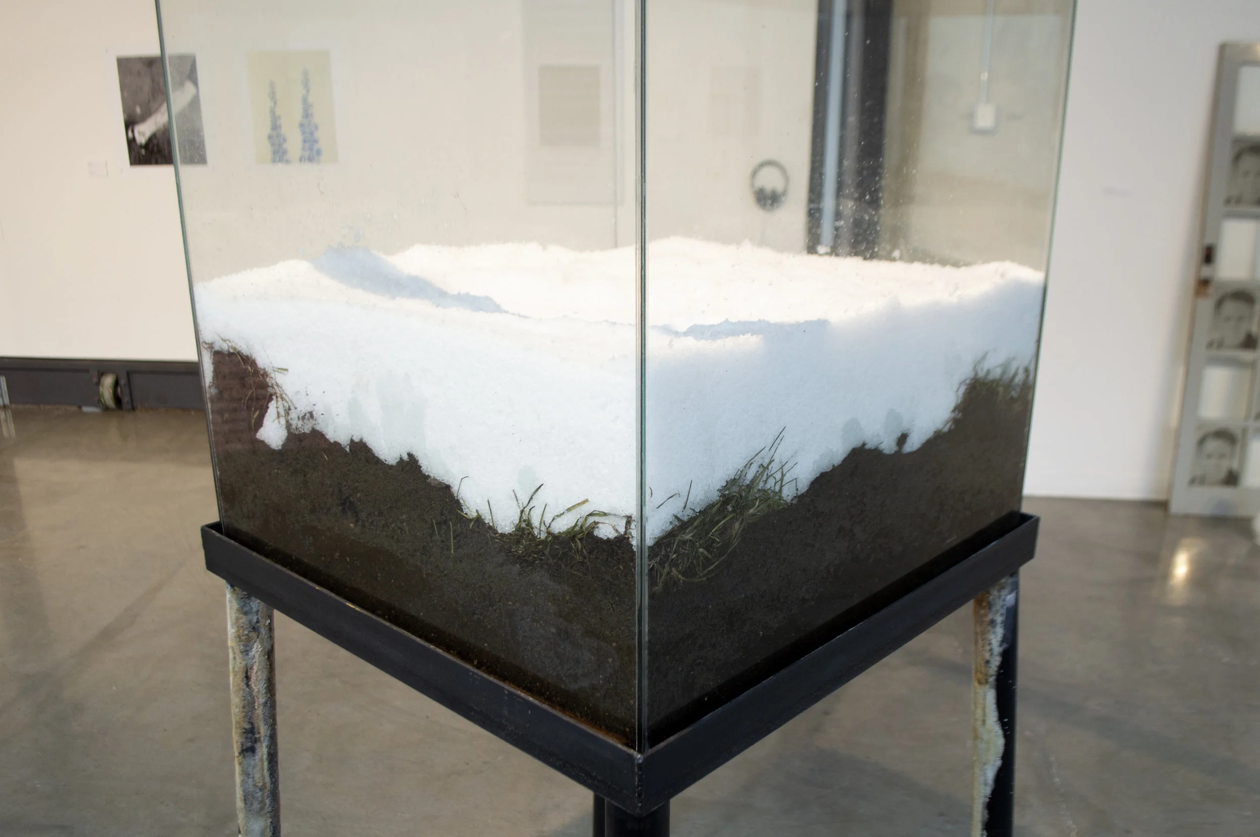 Taxidermy 2018, Earth, salt, glass, steel, water, vinyl coordinates