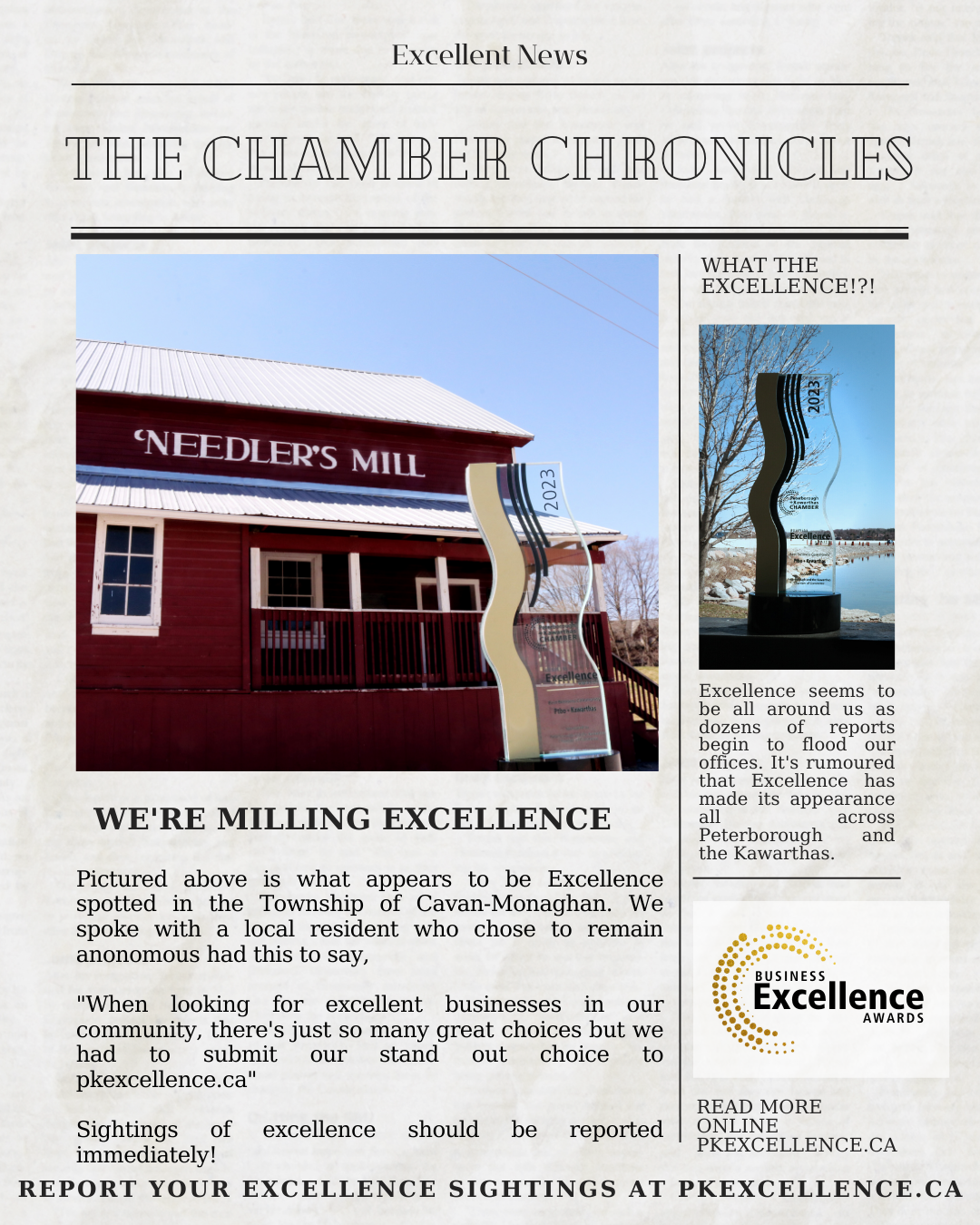 Millbrook business excellence nomination