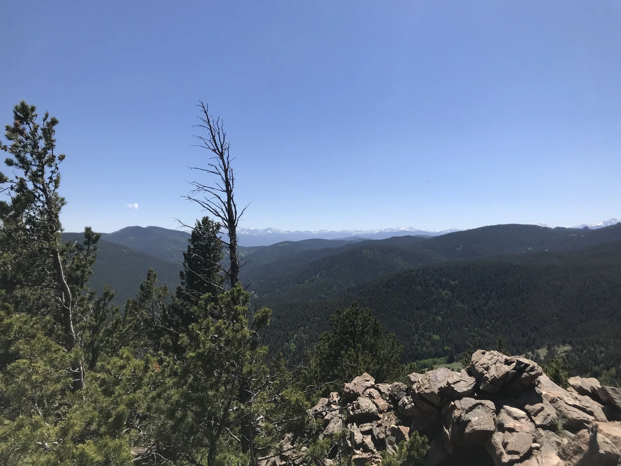 Top of Windy Peak!