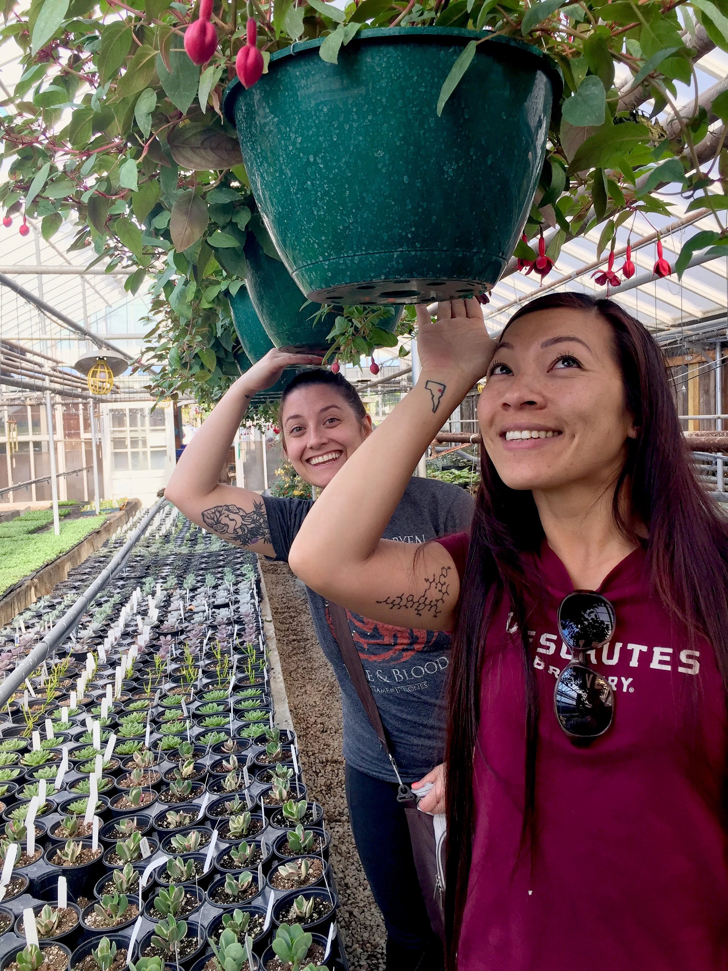 My back hurts from ducking under all the hanging plants. Short girls don't have that problem.