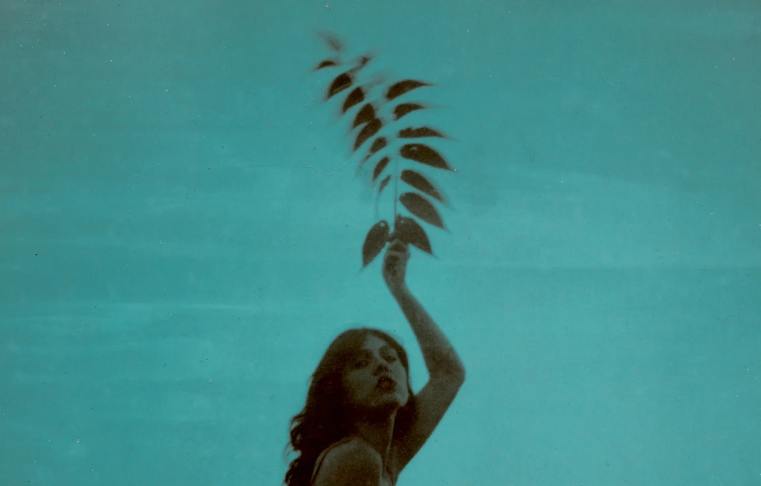 edie-sunday-04.jpg