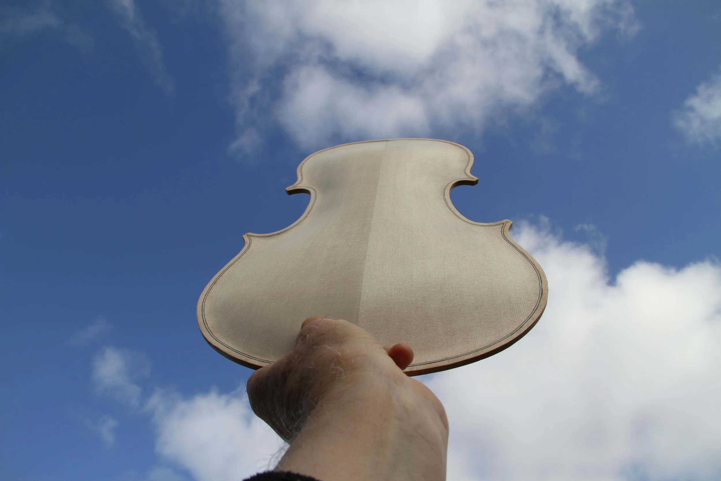 Viol Ascending Small  IMG_4103.jpg