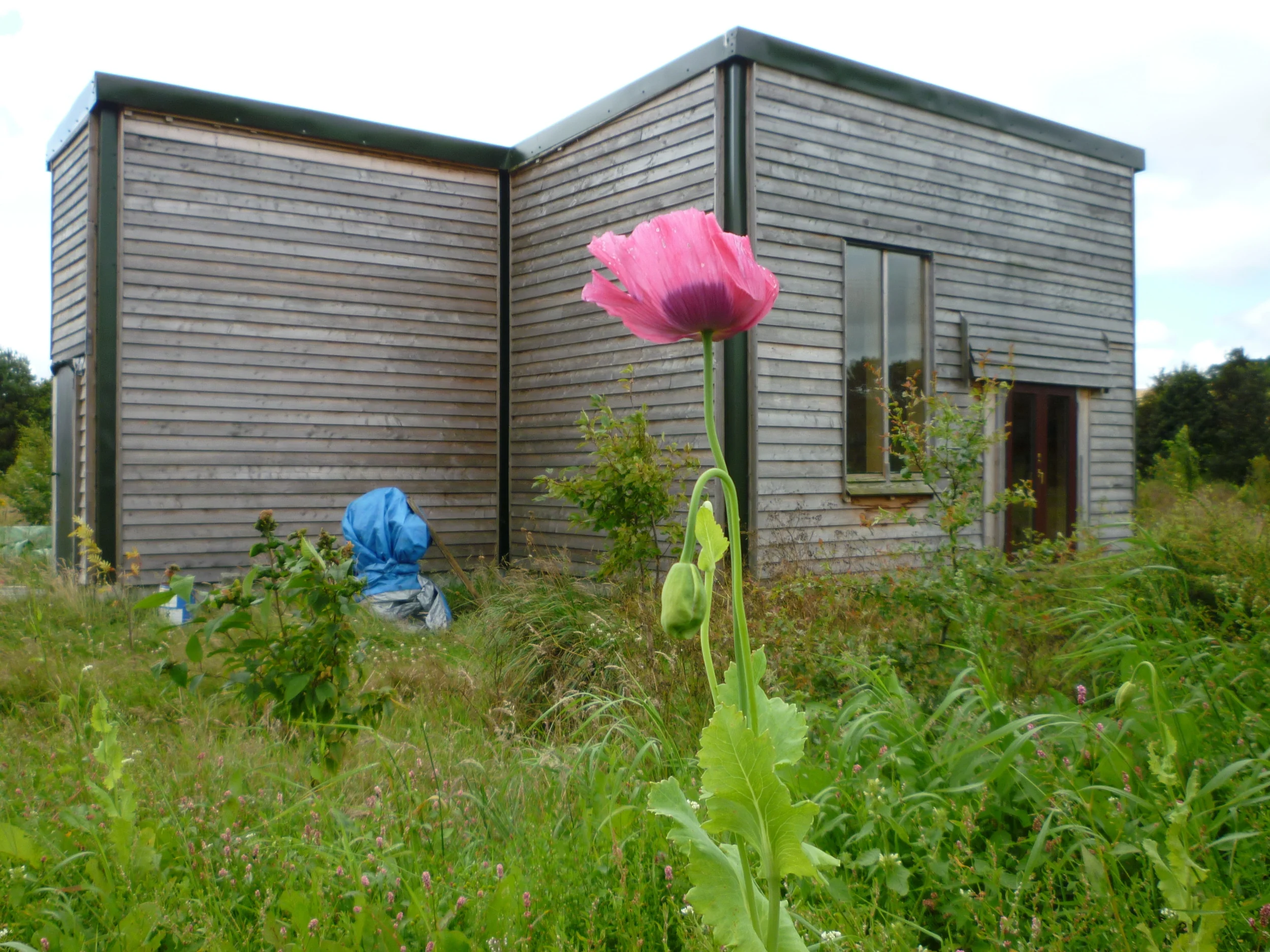 Vision Pavilion:  The Shed