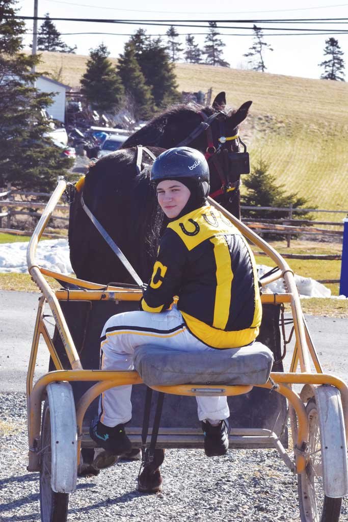  Cole Connolly of the Goulds is a budding harness racer. 