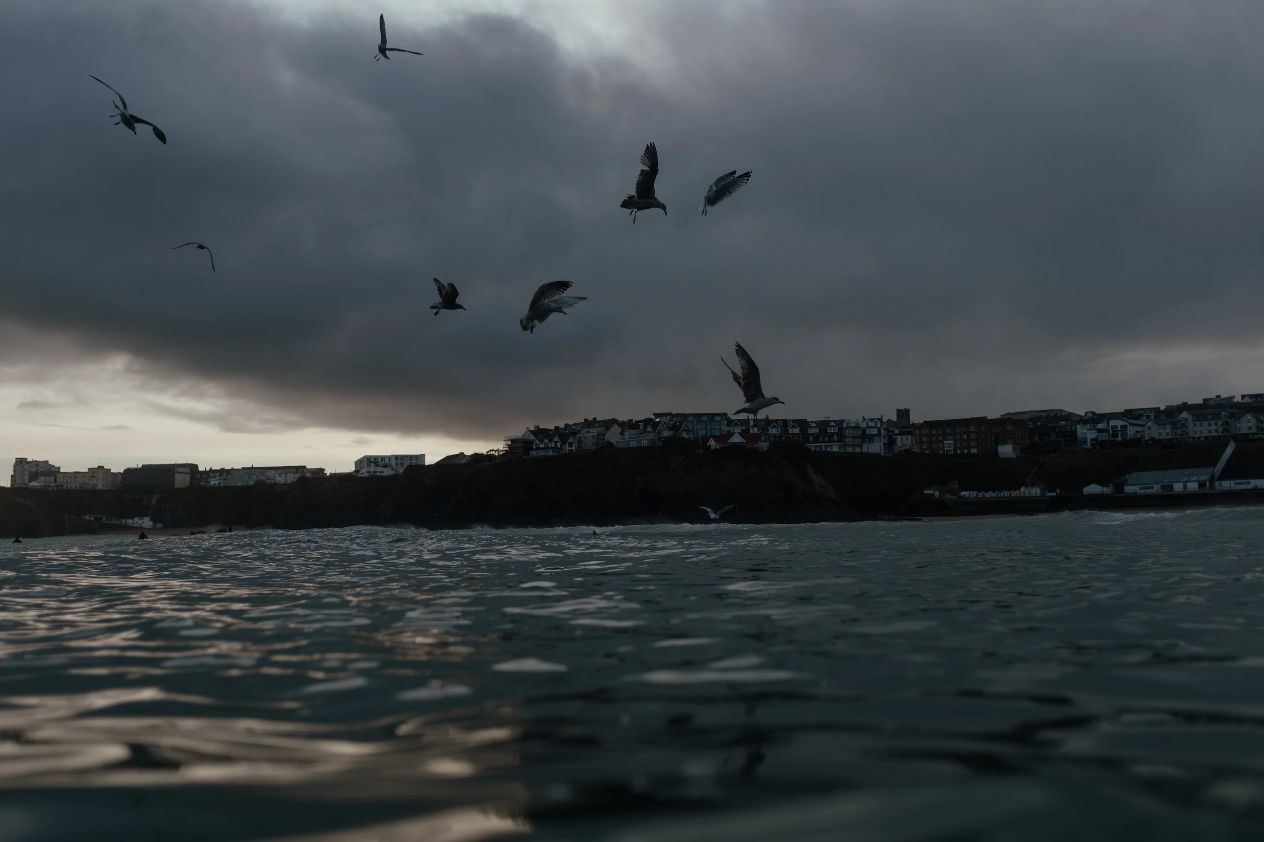 DSCF3560.jpg