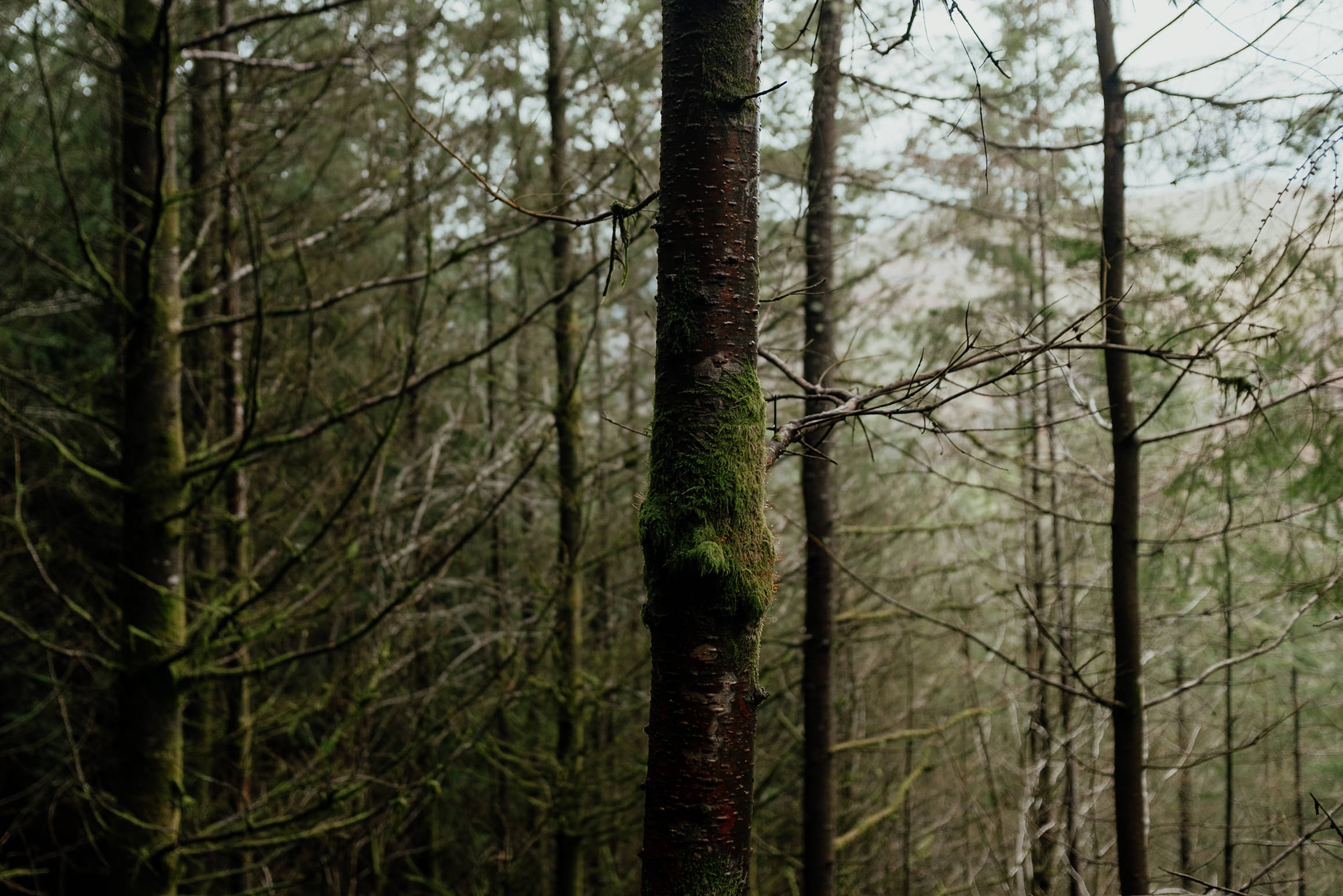 DSCF4270.jpg