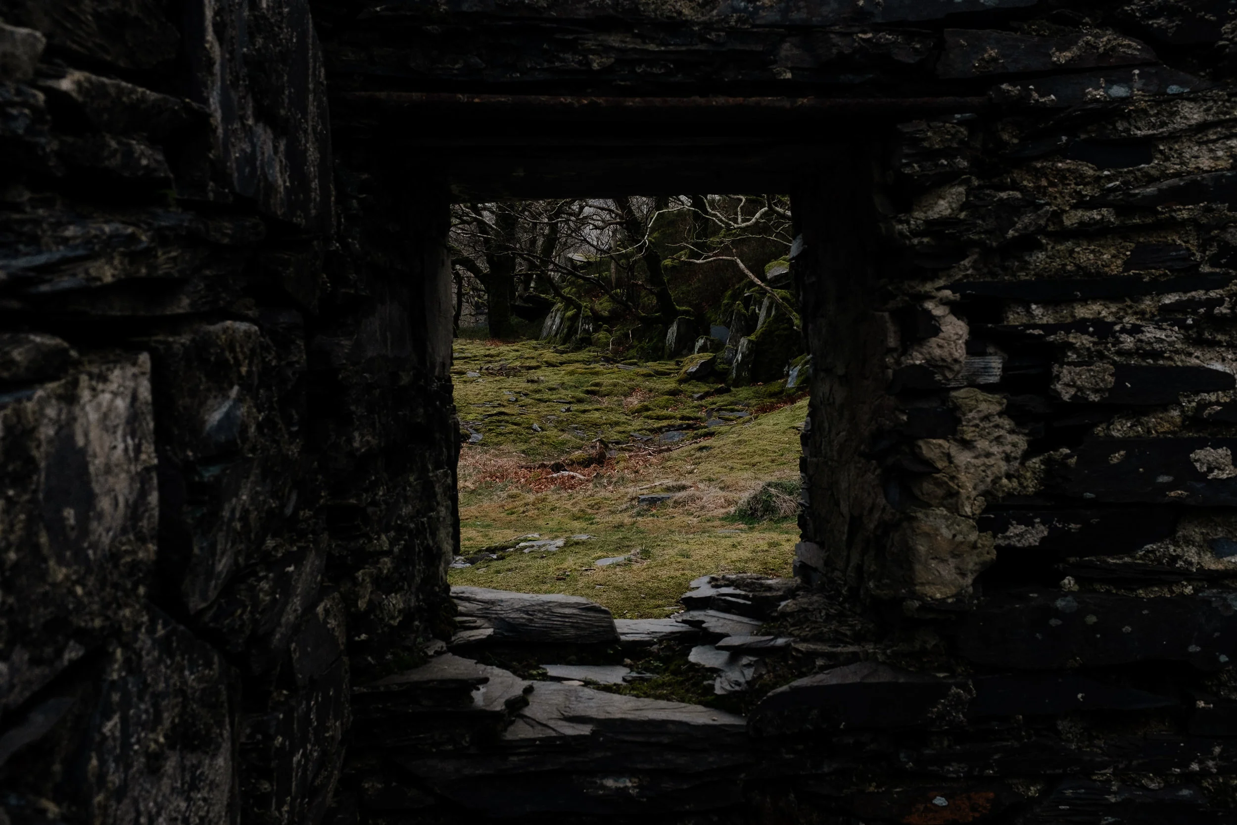 DSCF4420.jpg