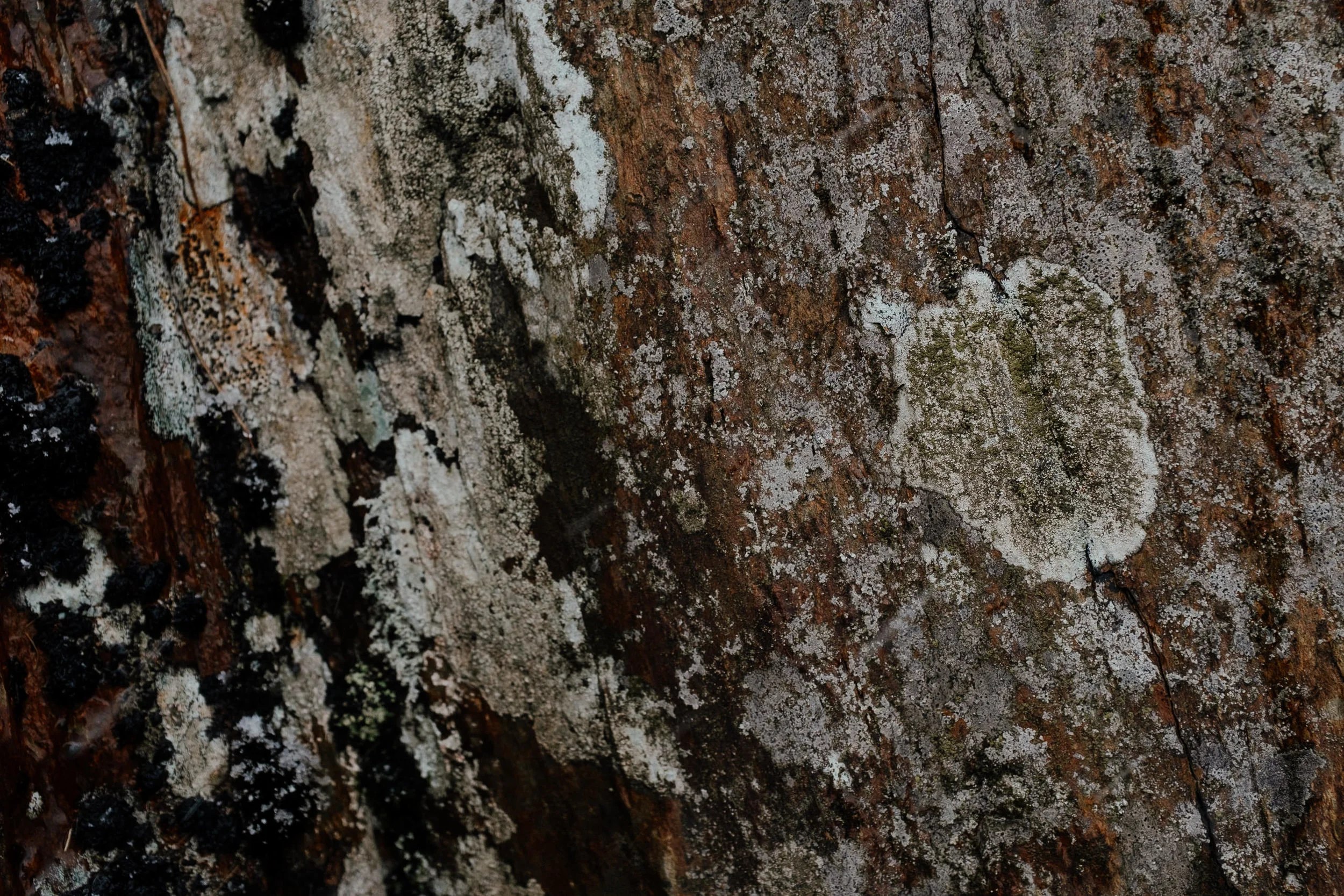 DSCF5289.jpg