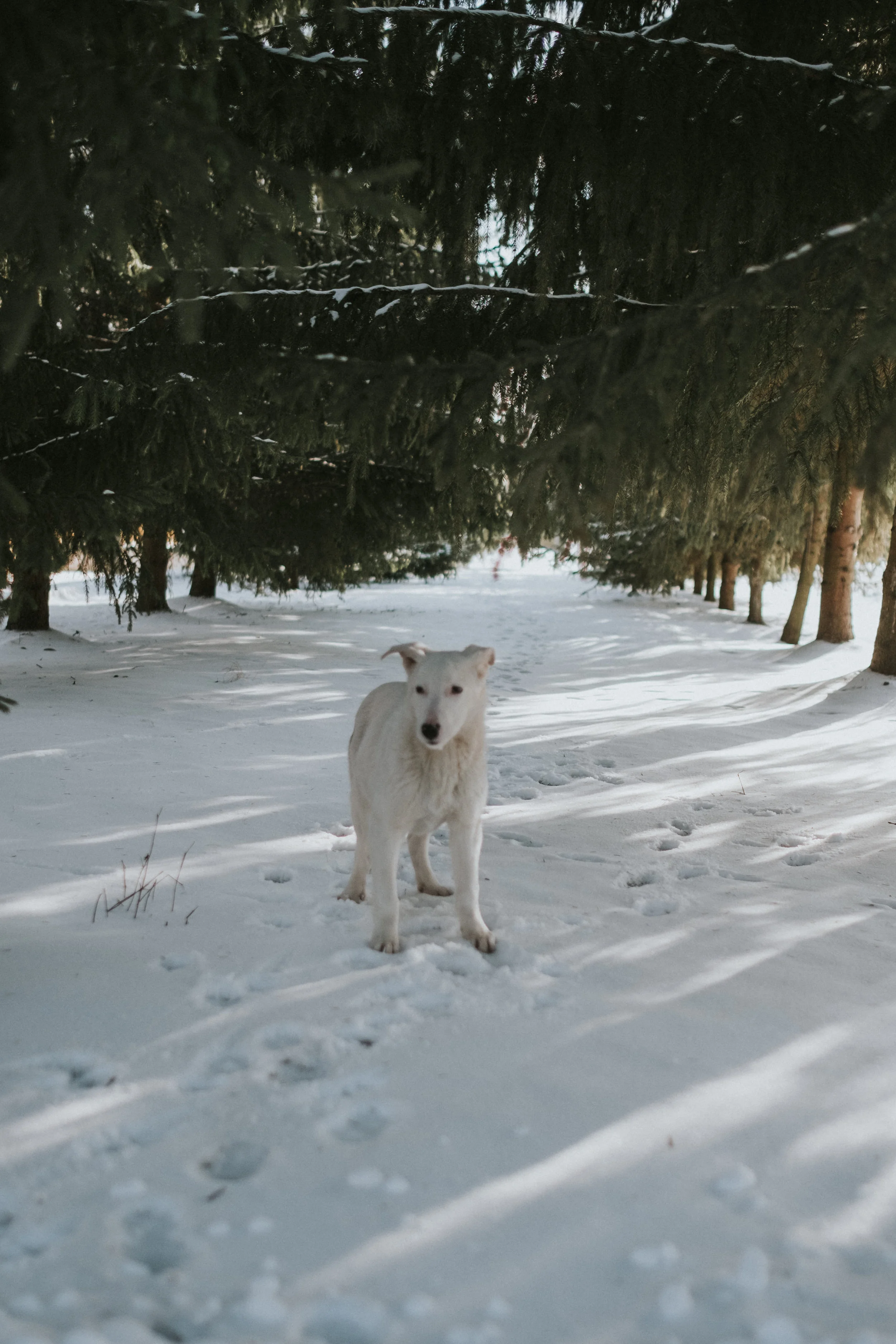 craig_nicholas_photography_chernobyl (32 of 105).jpg