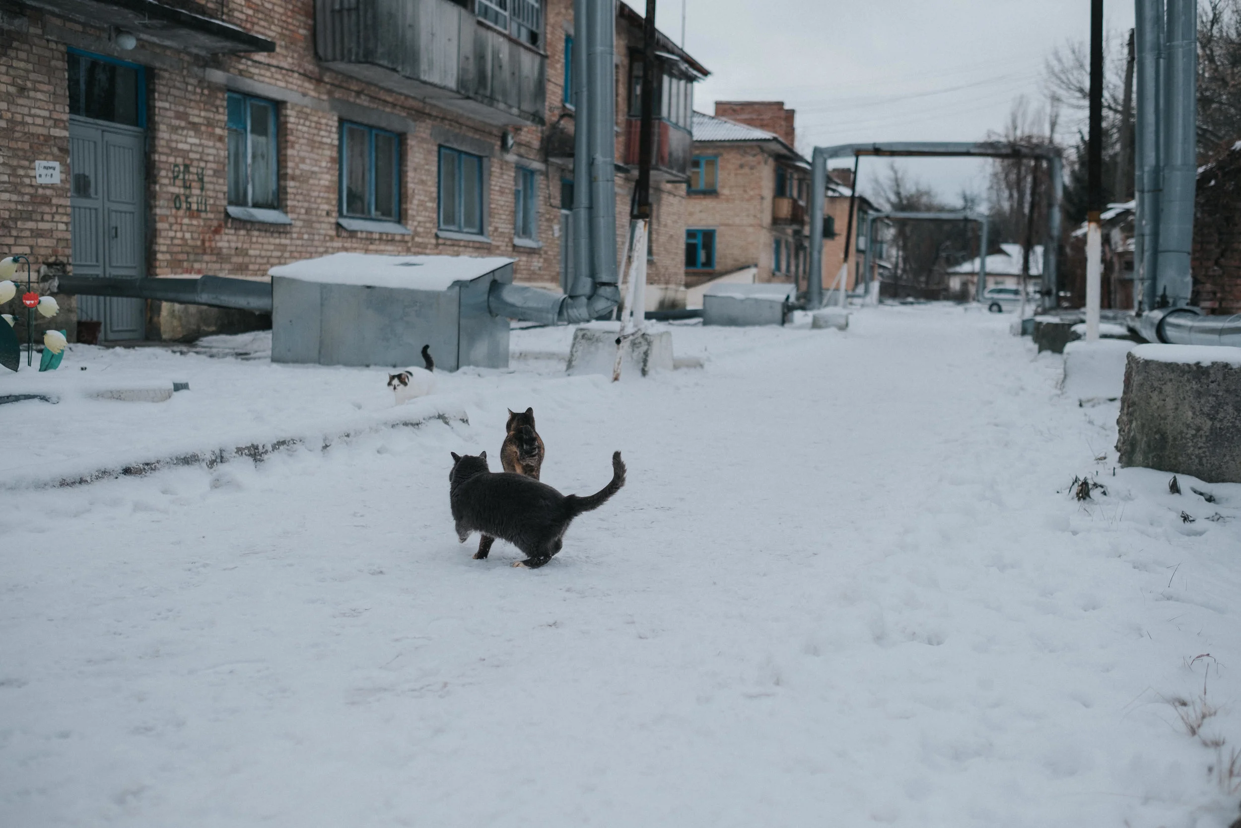 craig_nicholas_photography_chernobyl (41 of 105).jpg