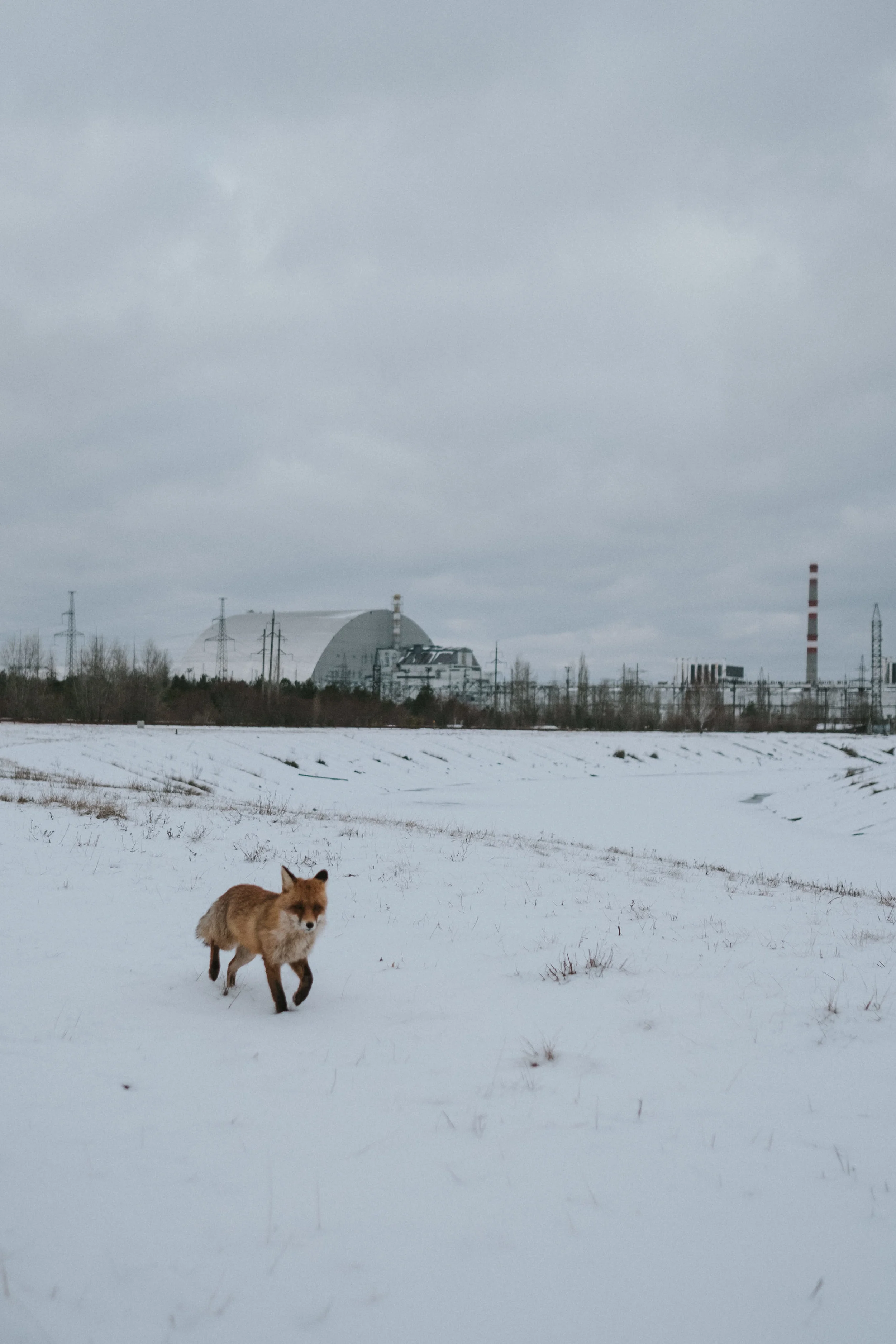 craig_nicholas_photography_chernobyl (50 of 105).jpg