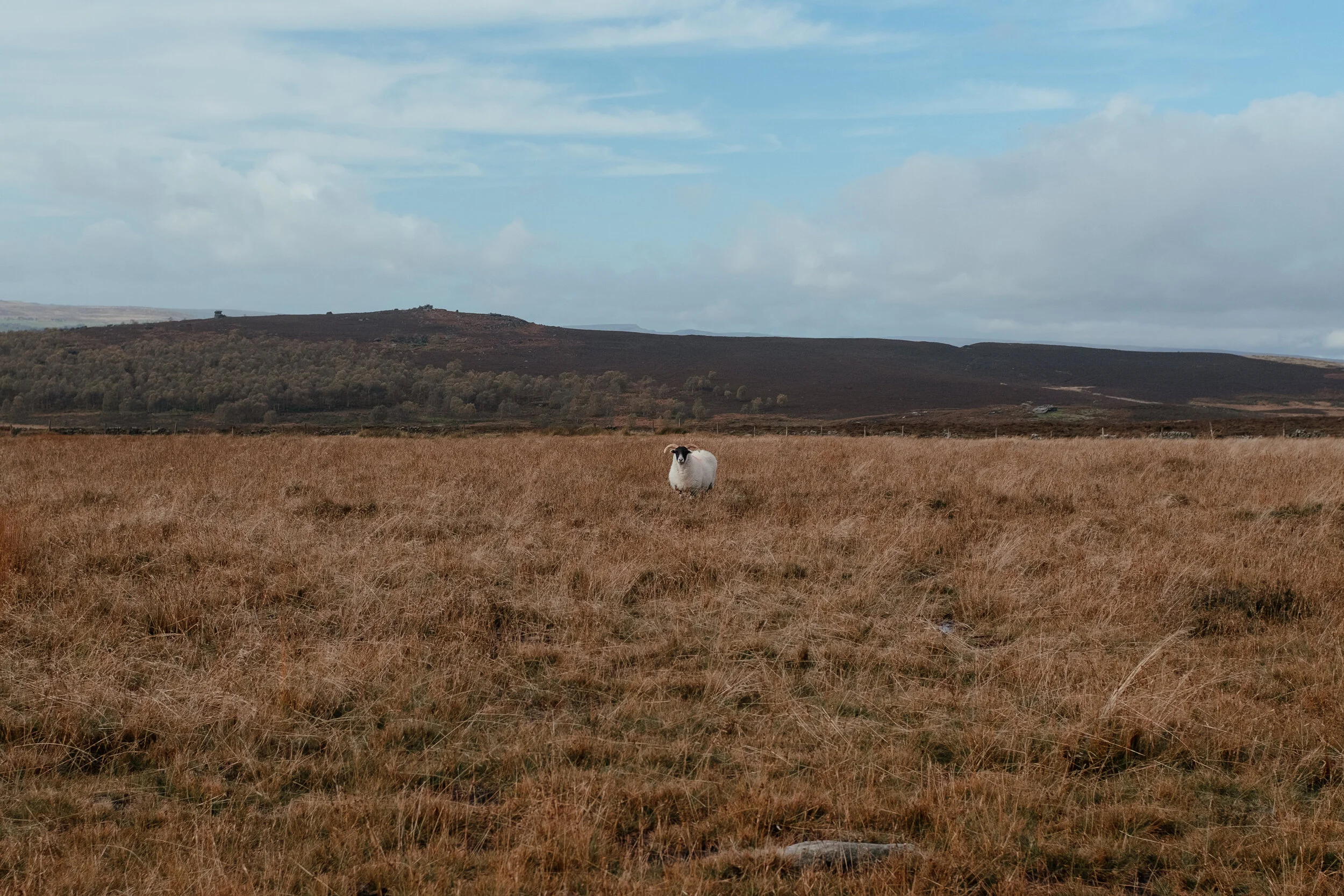 DSCF7914.jpg