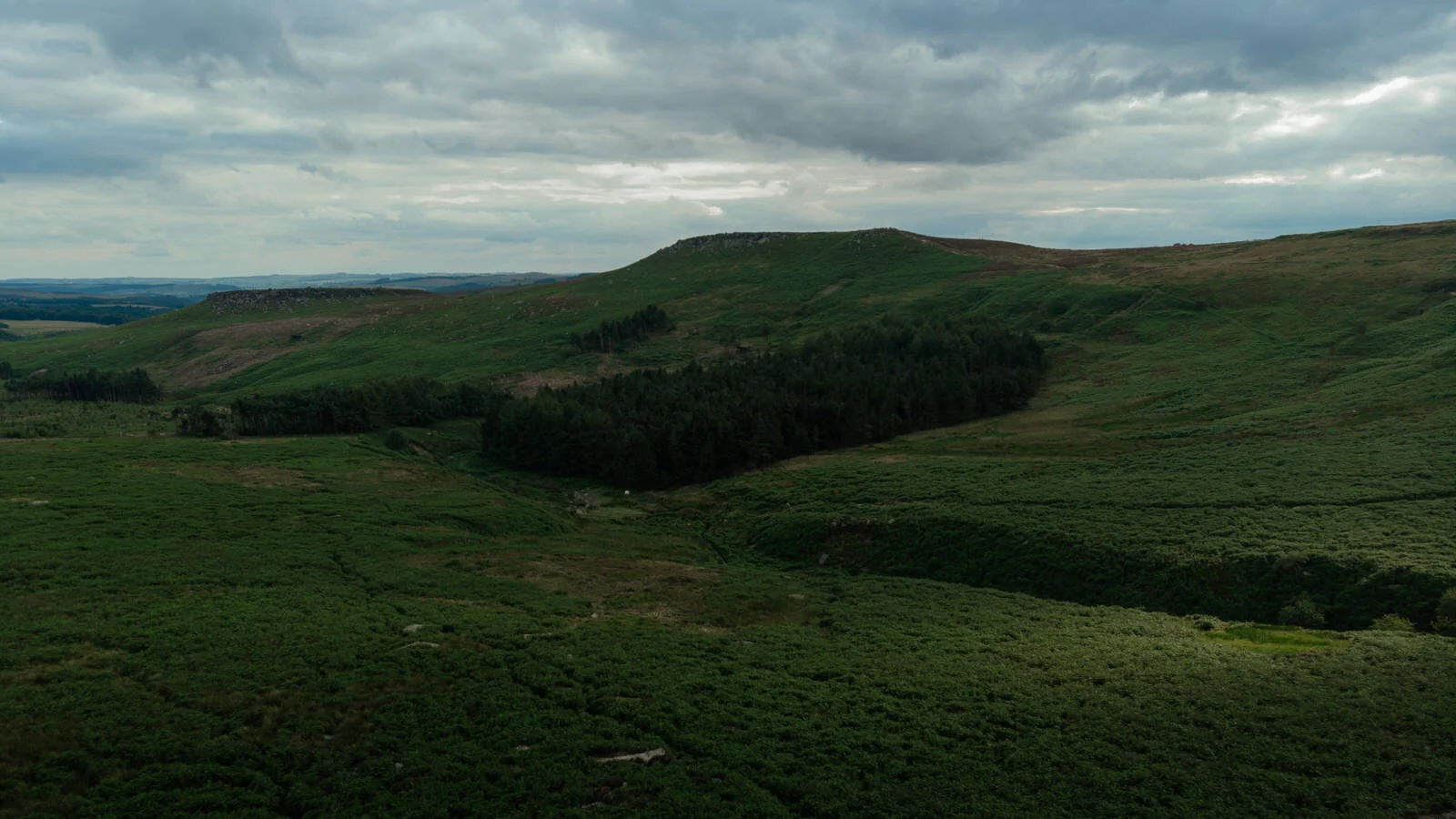 DJI_0150.jpg