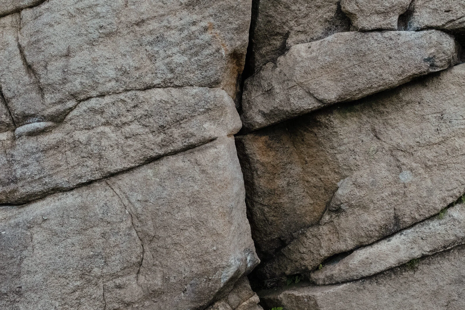 DSCF1697.jpg