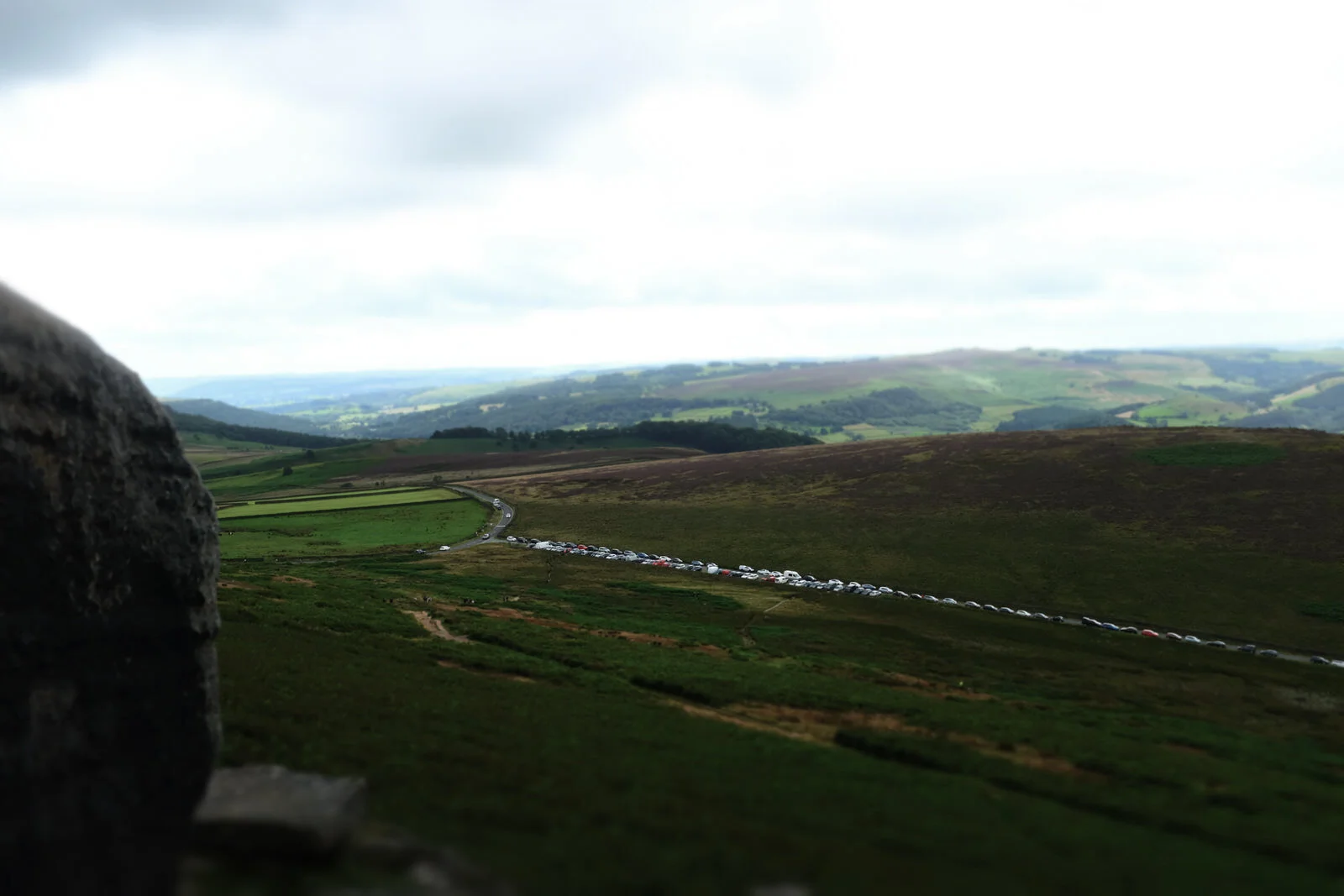 DSCF1855.jpg