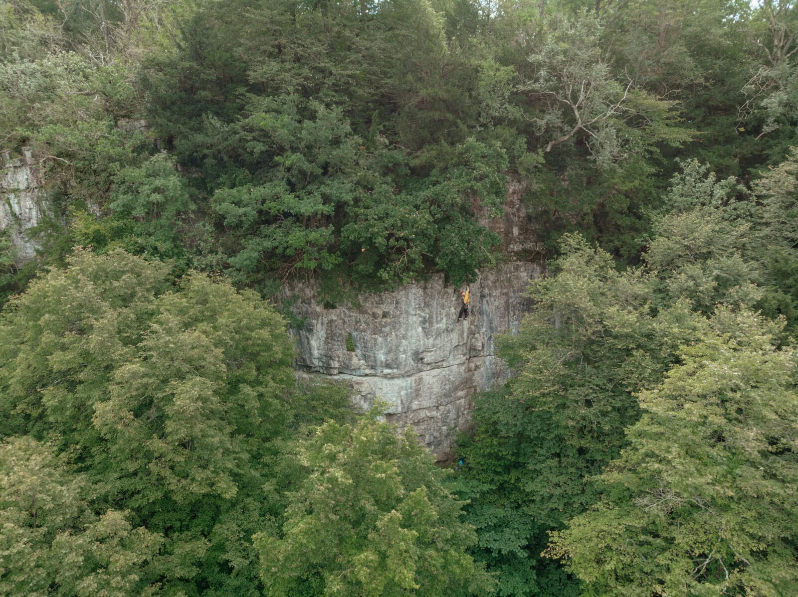DJI_0260.jpg