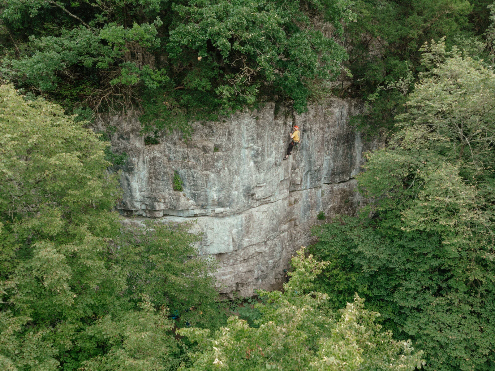 DJI_0264.jpg
