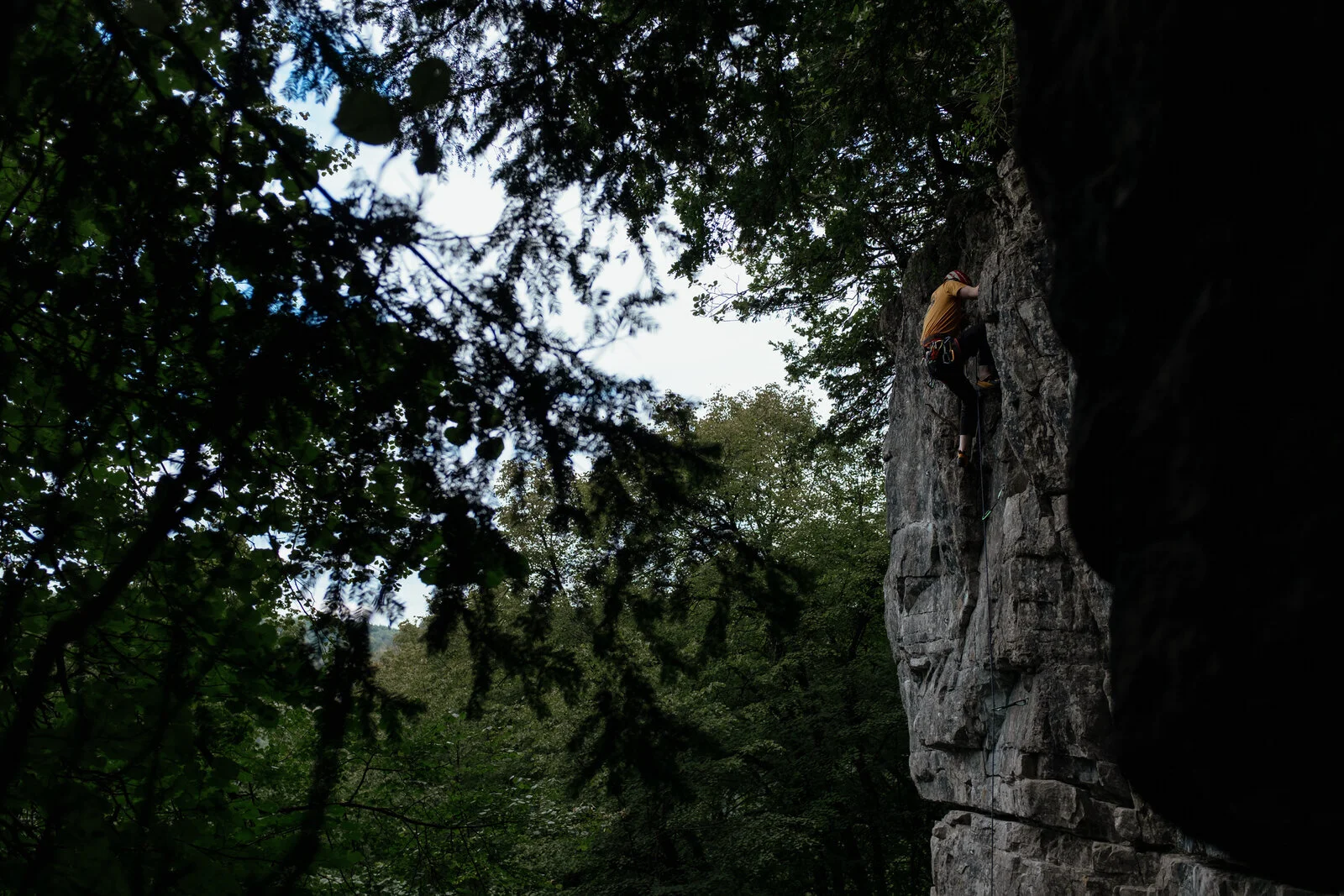 DSCF2698.jpg