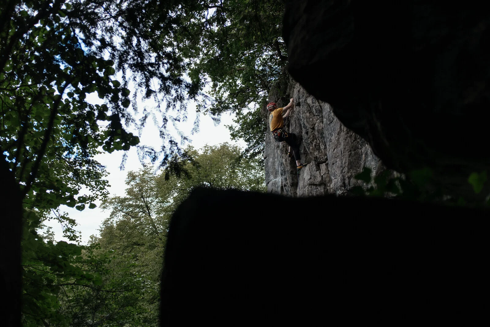 DSCF2700.jpg