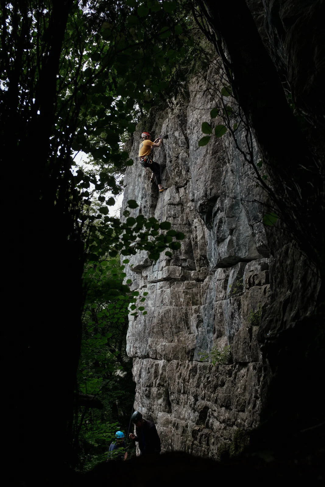 DSCF2707.jpg
