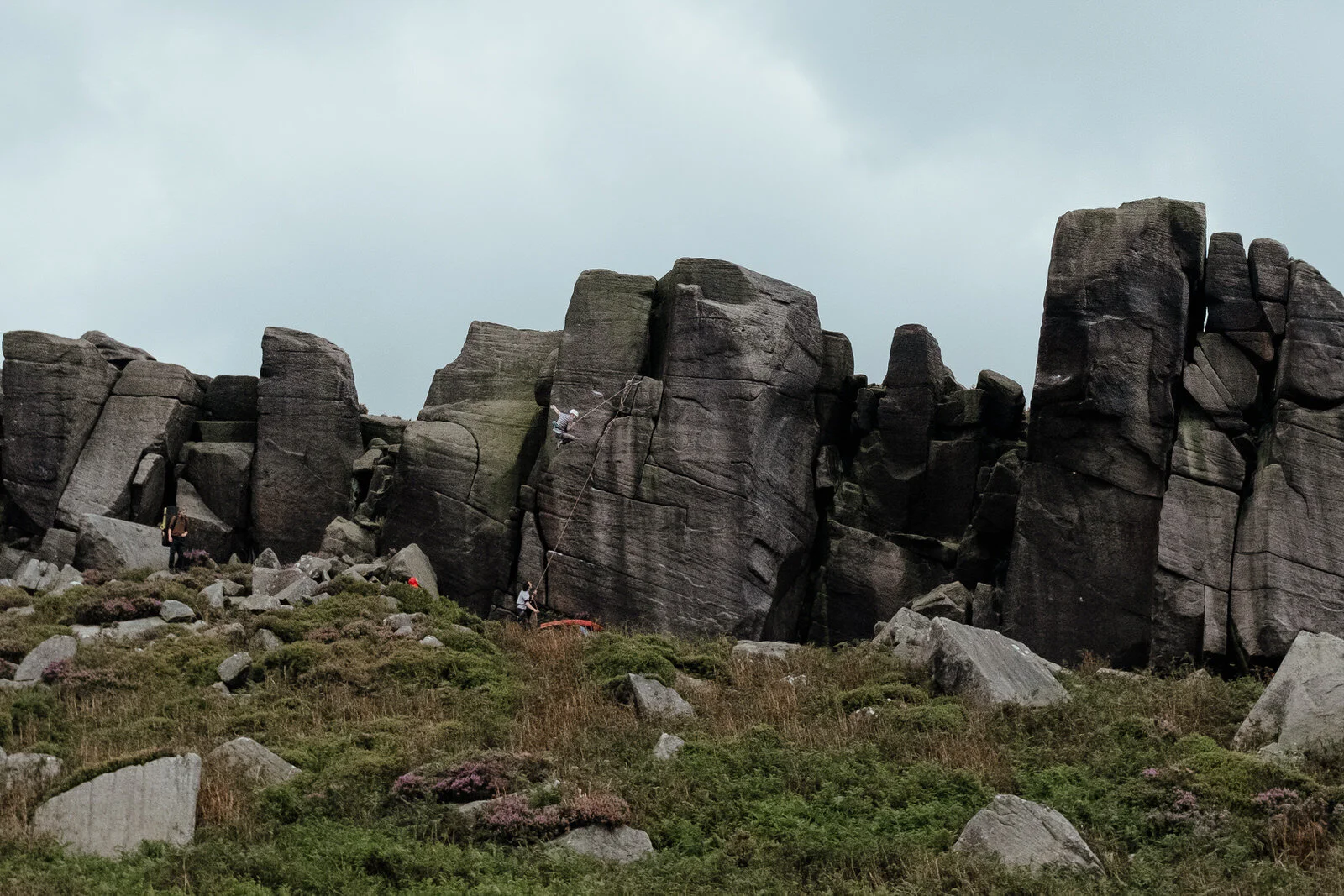 DSCF2806.jpg