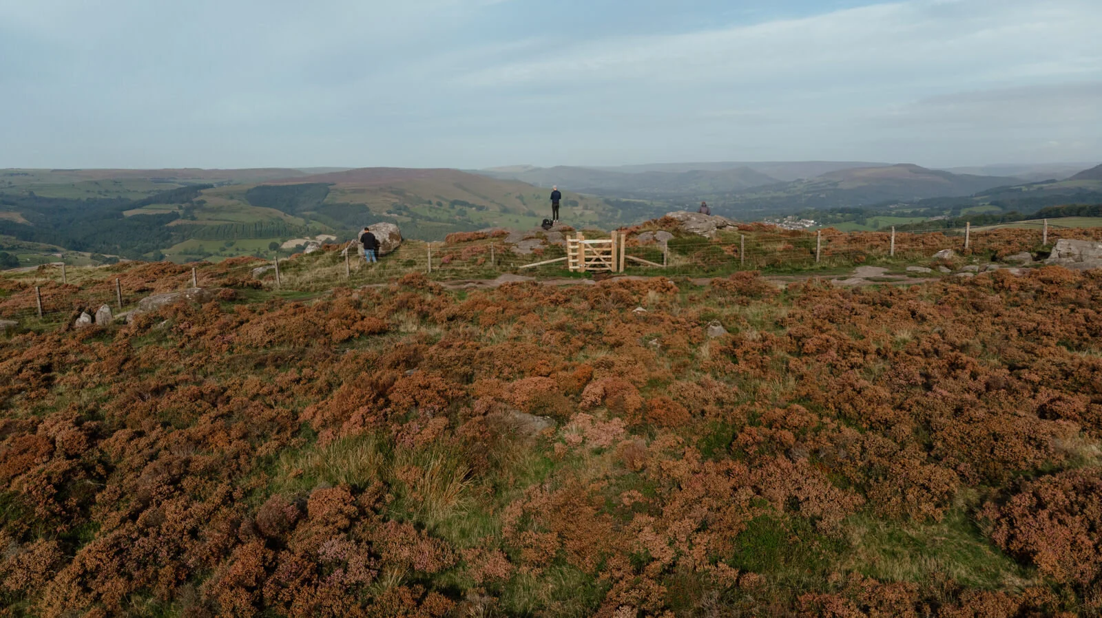 DJI_0290.jpg