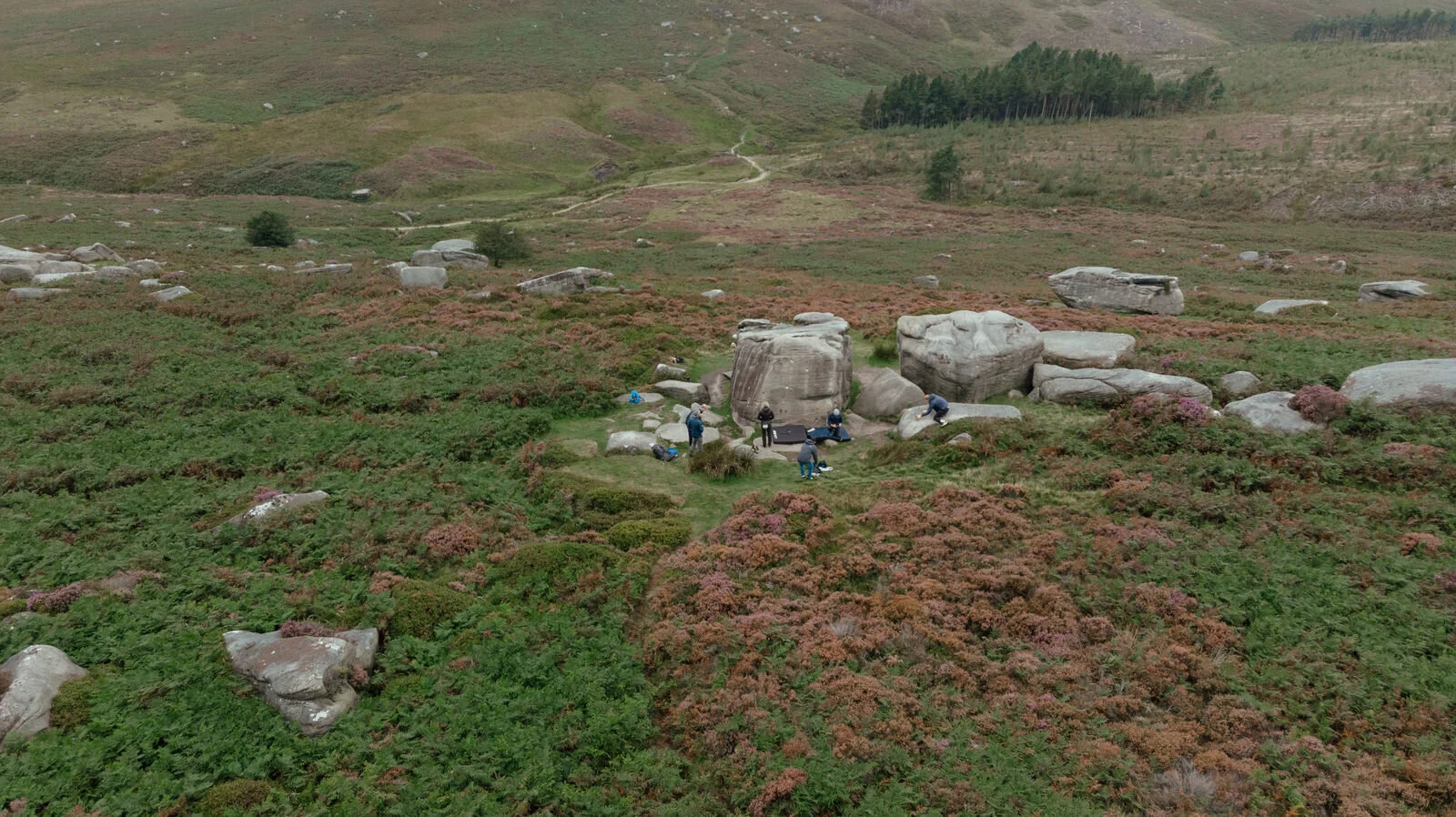 DJI_0299.jpg