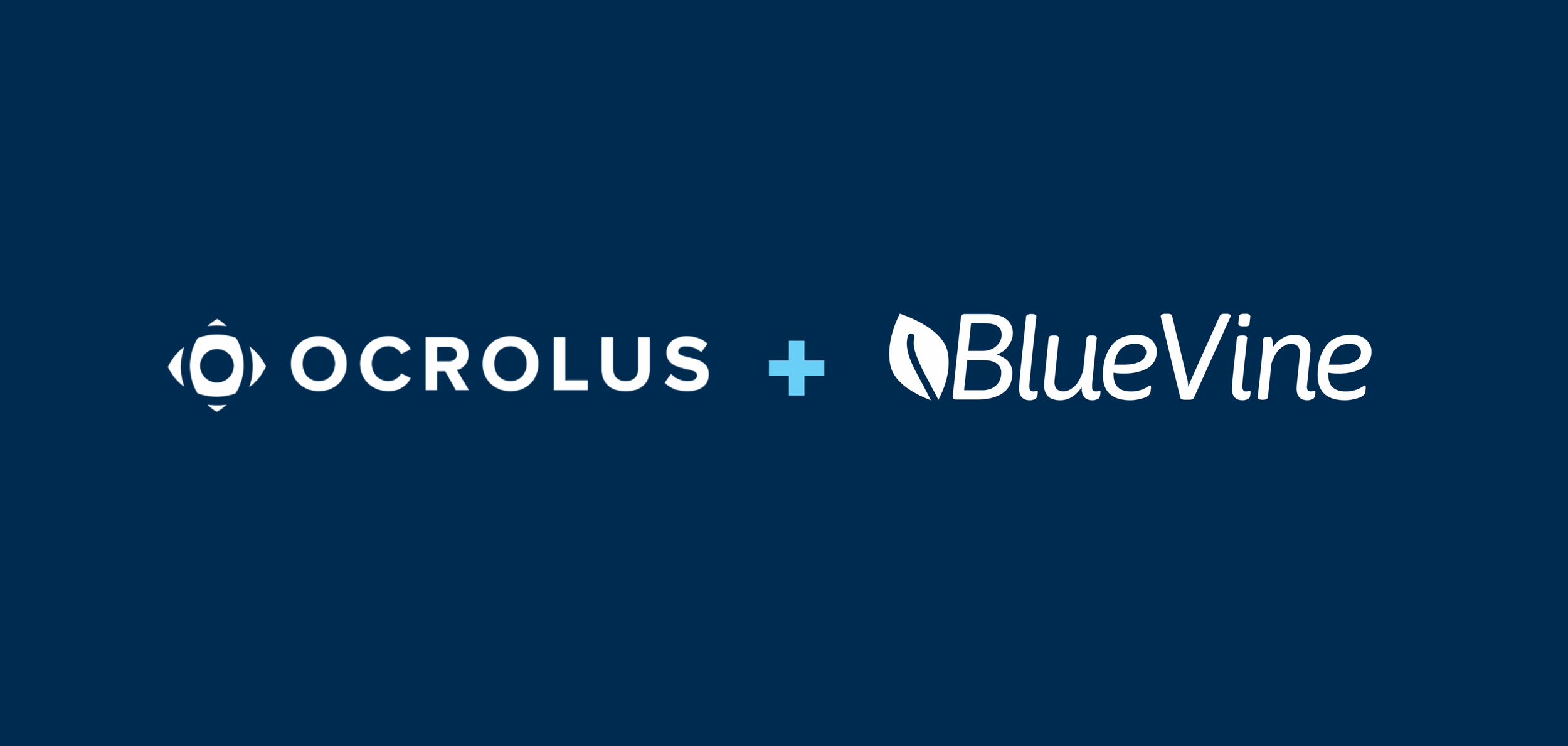  BlueVine Teams Up With Ocrolus to Provide Faster Processing For Financing Applications