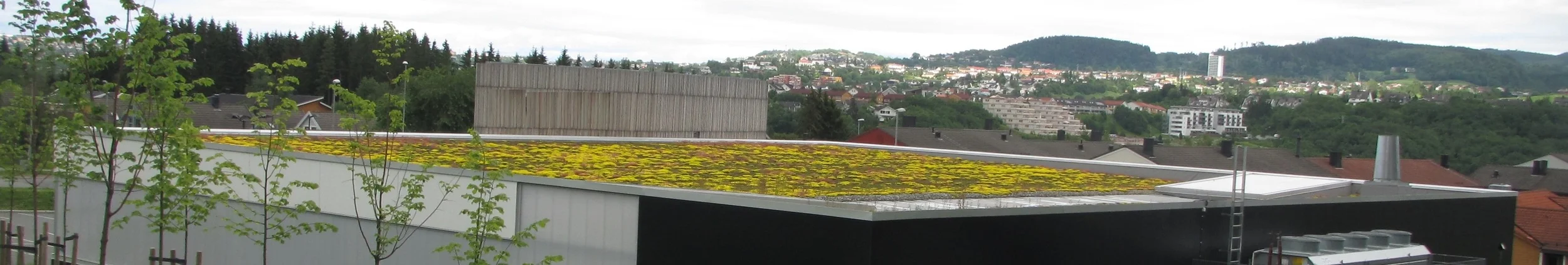 IMG_0483_kladd - Copy.JPG