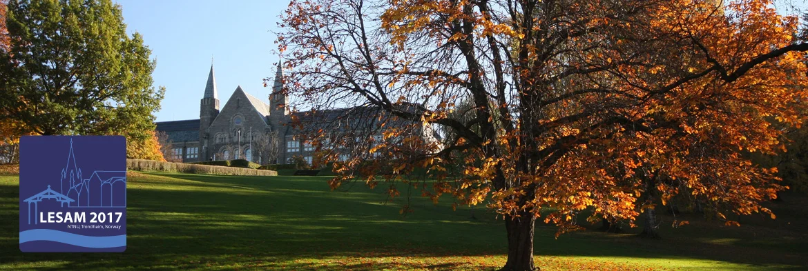 Lesam 2017