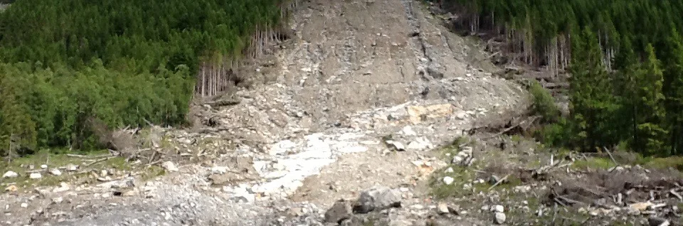 Ras_Petter Fornes_banner.jpeg