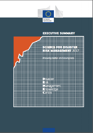 Science for disaster risk management_forside.png