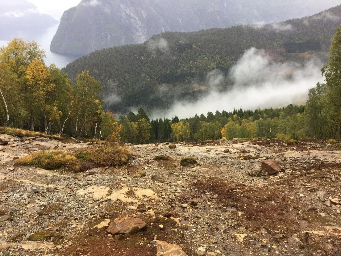 Øvre del av skredbane i Stranda