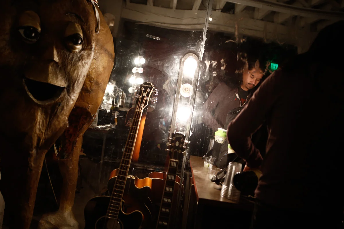 Silversun Pickups
