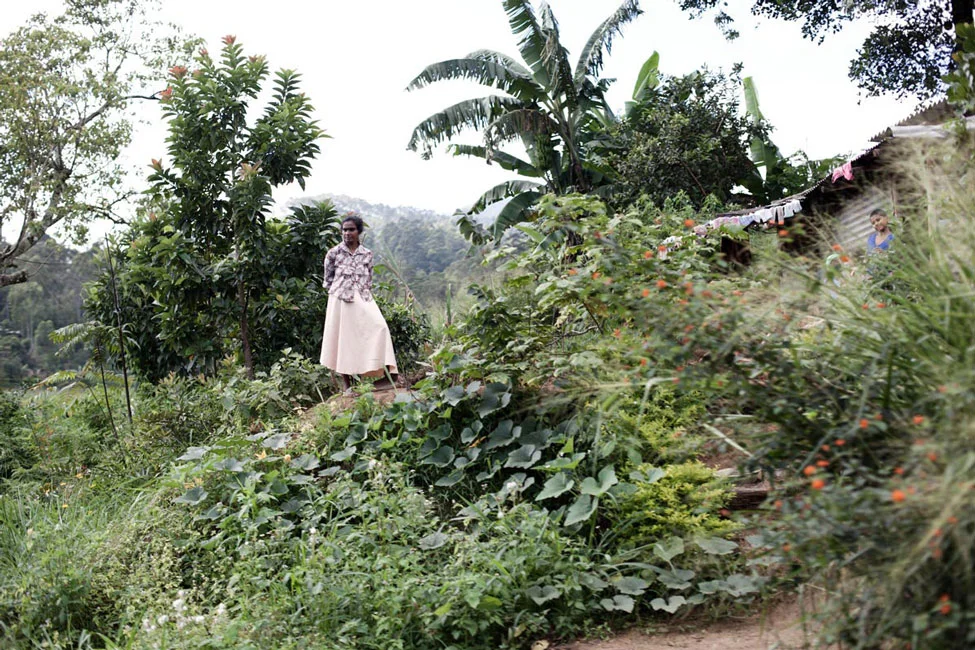Sri Lanka